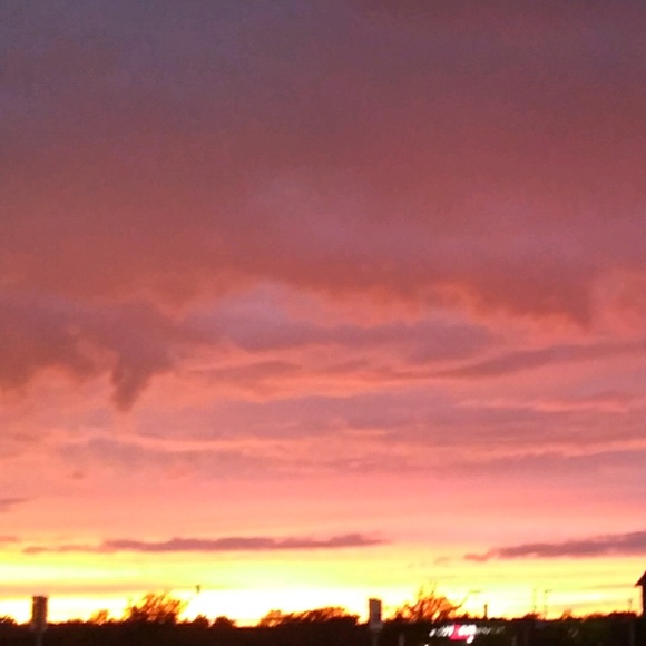 Meet your Posher, Diana - Picture 1 of 1